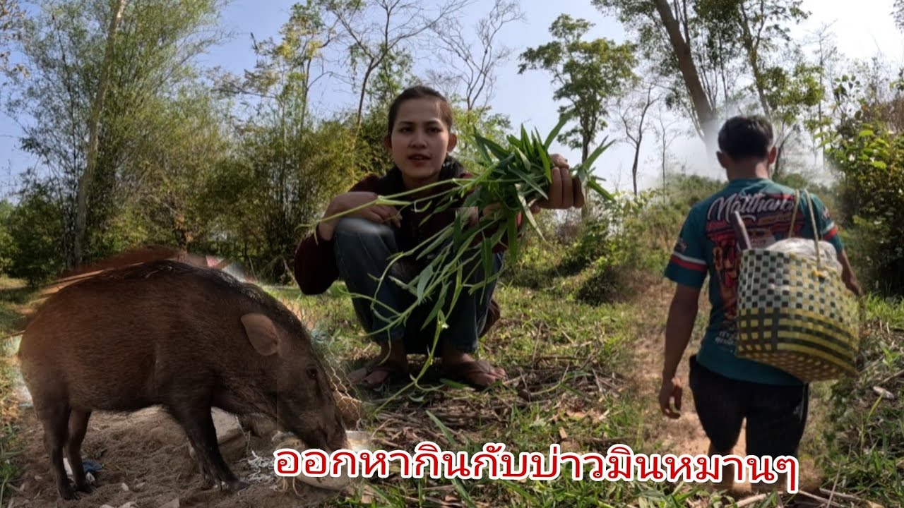 บ่าวมอนพาออกหากินได้หลายๆพี่น้อง/ອອກຫາກິນກັບບ່າວມອນ17 มีนาคม ค.ศ. 2026