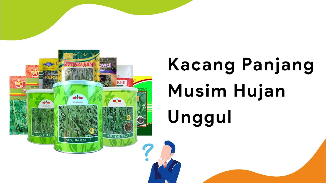 10 Benih Kacang Panjang Dataran Menengah Musim Hujan Terbaik