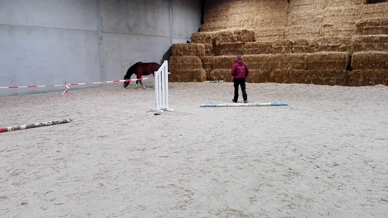 romeo van het roversnest