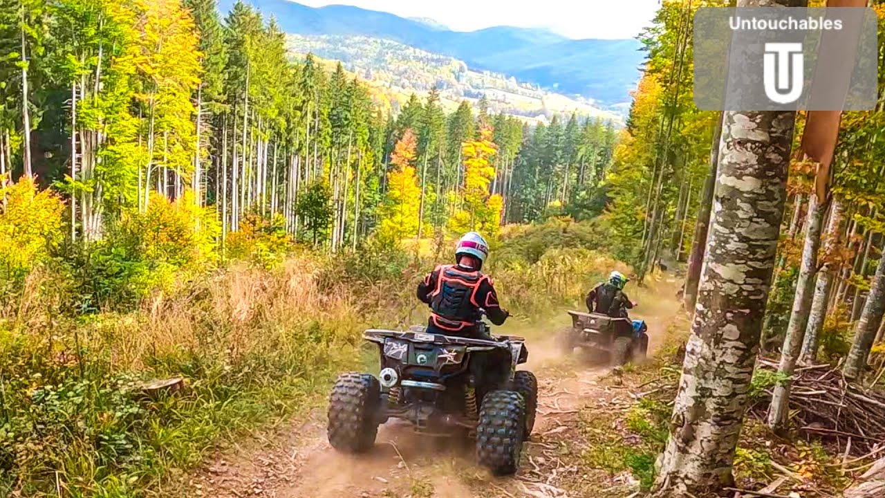 Crazy Ride In Awesome Nature 🤑⛔️ Yellowstone Feeling❗️