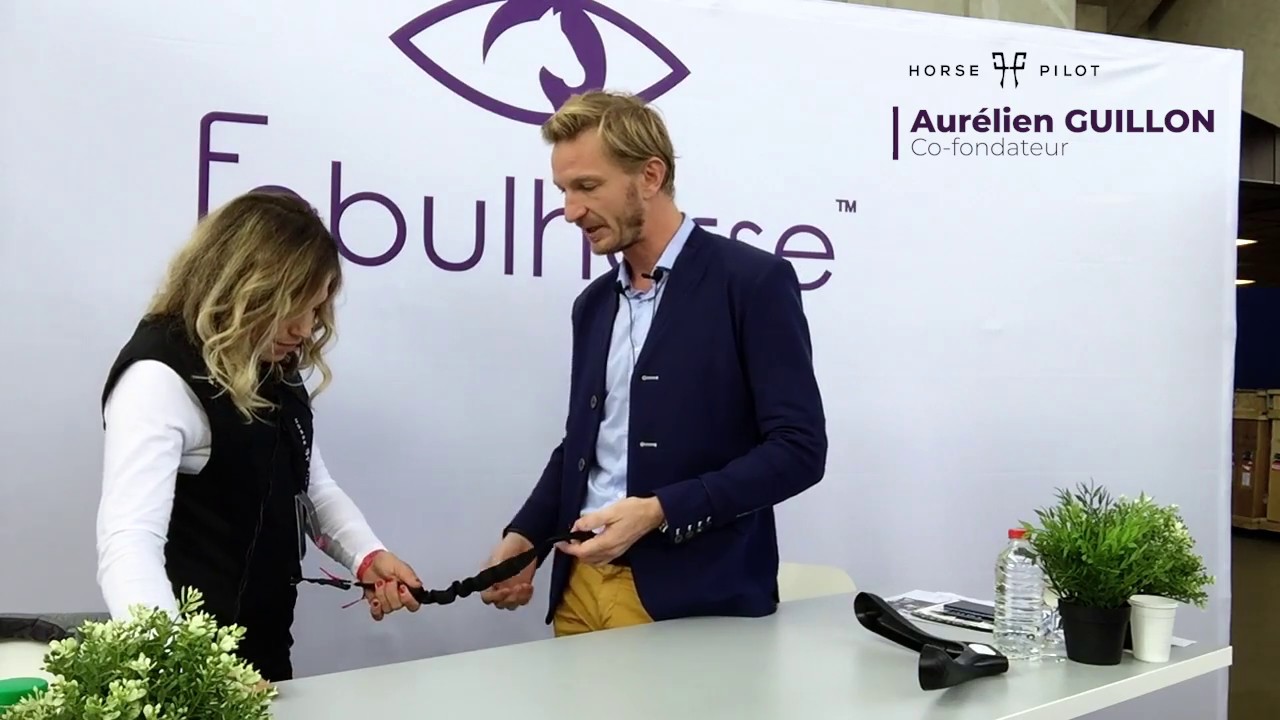 Horsepilot by Fabulhorse