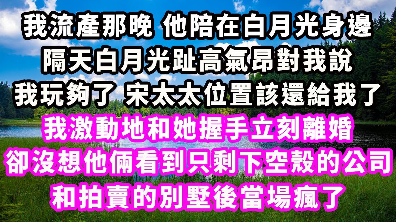 我流產那晚他陪在白月光身邊，隔天白月光趾高氣昂對我說，我玩夠了，宋太太位置該還給我了，我激動地和她握手立刻離婚，卻沒想他倆看到只剩下空殼的公司，和拍賣的別墅後當場瘋了#爽文完結#一口氣看完#小三#豪門