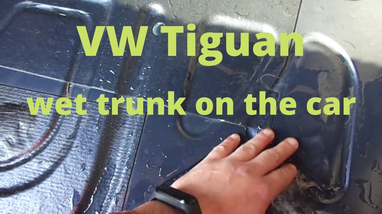VolksWagen Tiguan | мокрый багажник на машине 💧💦💦🚘