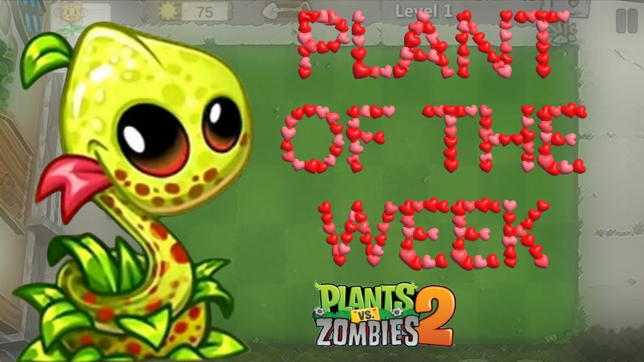 Plants Vs. Zombies 2, Растение недели (Лилия Знаке) (15 февраля - 22 февраля)