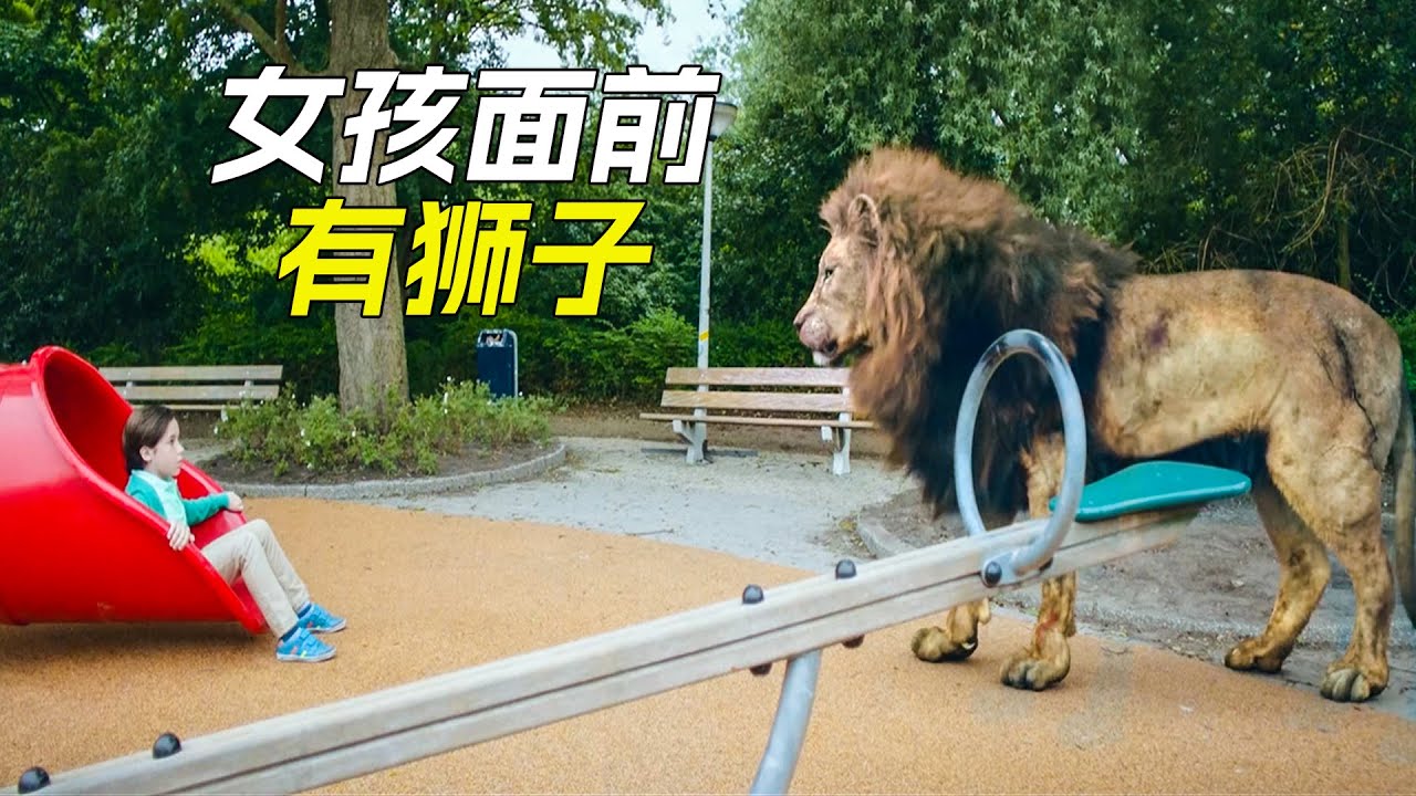 食人獅子闖進公交車裏，對人類打開殺戒，冒險，獵奇，獅子，電影，解說，動作
