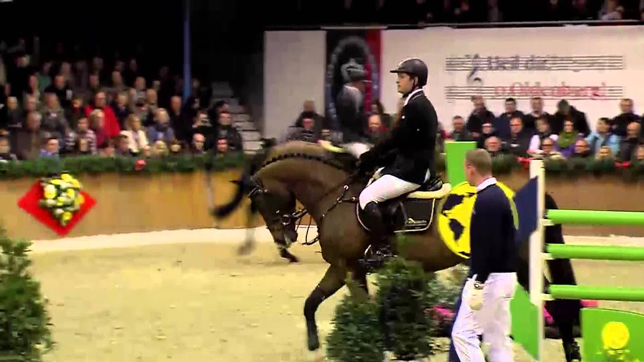 Quaid *2004 by Quidam's Rubin - Voltaire (Stallion Show Sosath 2013)