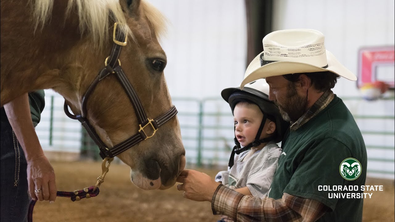 Equine-Assisted Occupational Therapy at the Temple Grandin Equine Center