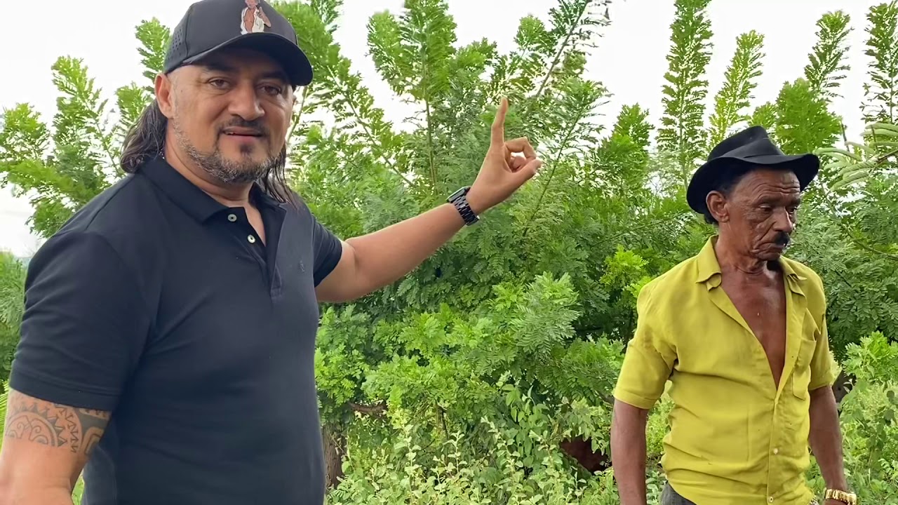 TIRINGA TEIMA COM CHARLLES Q A JARARACA É FILHOTE DE CASCAVEL E AINDA TEM GPS😂 | COMÉDIA SELVAGEM ®