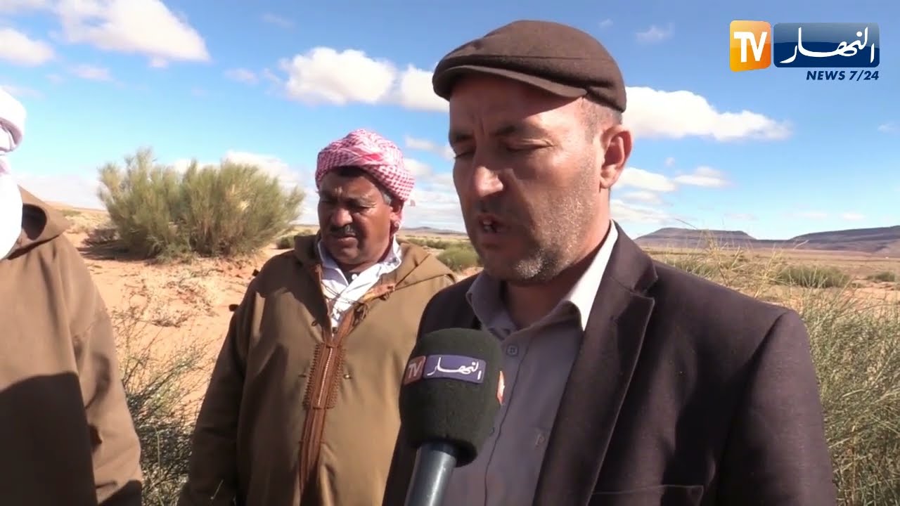 البيض: كراء المحميات الرعوية.. فرصة الموالين لتوفير الكلا لمواشيهم