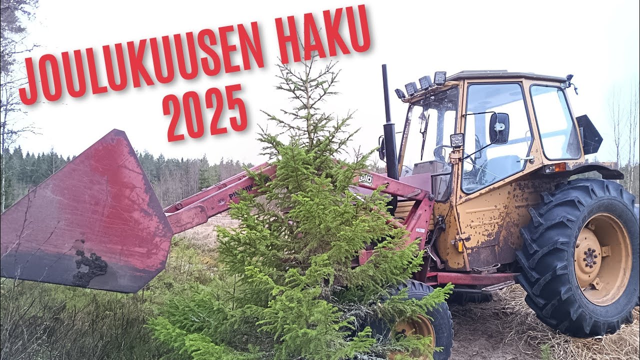 Joulukuusen haku 2025