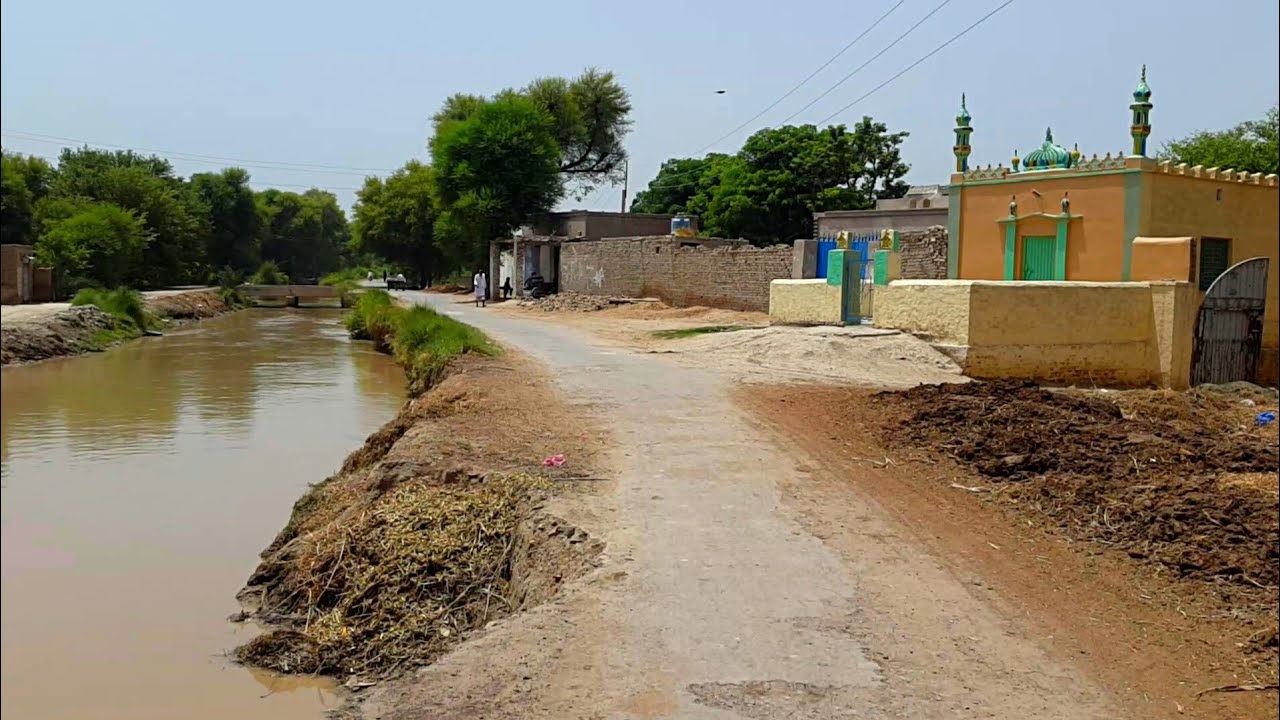 Punjab Village Tour Near Dhingana Canal | Rural Life In Pakistan