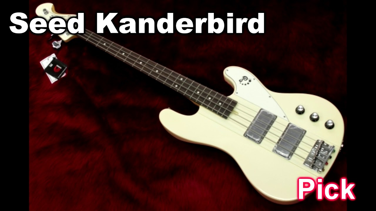 【サウンドサンプル】Sago Seed Kanderbird【ピック フィンガー スラップ】