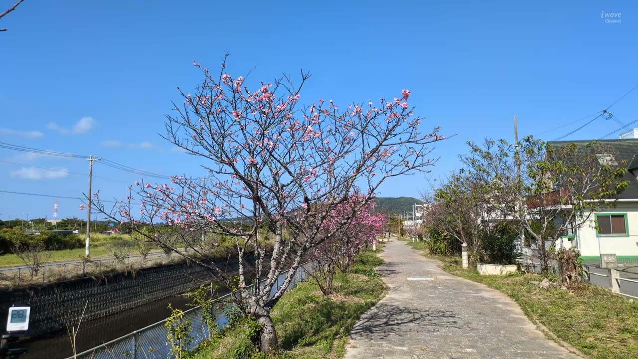 ほぼ毎日公開！今日の空模様- WeatherLog OKINAWA URUMA。Feb.5, 2026