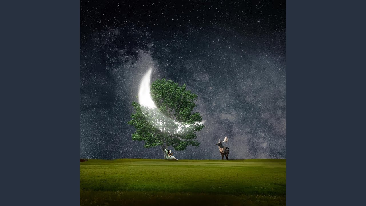 To The Moon