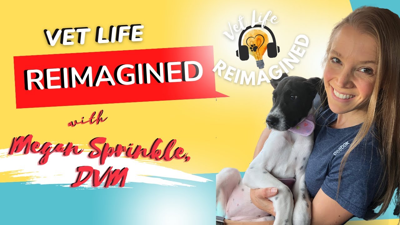 Welcome to your Vet Life Reimagined podcast!