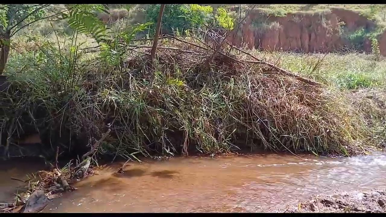 Medite ,e veja a bondade de Deus. 