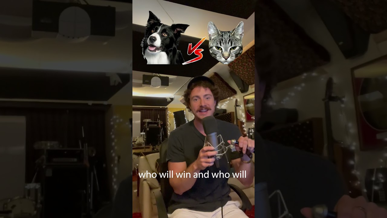 Cat vs Dog