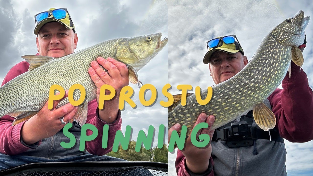Po prostu spinning  #wędkarstwo #szczupak #boleń 