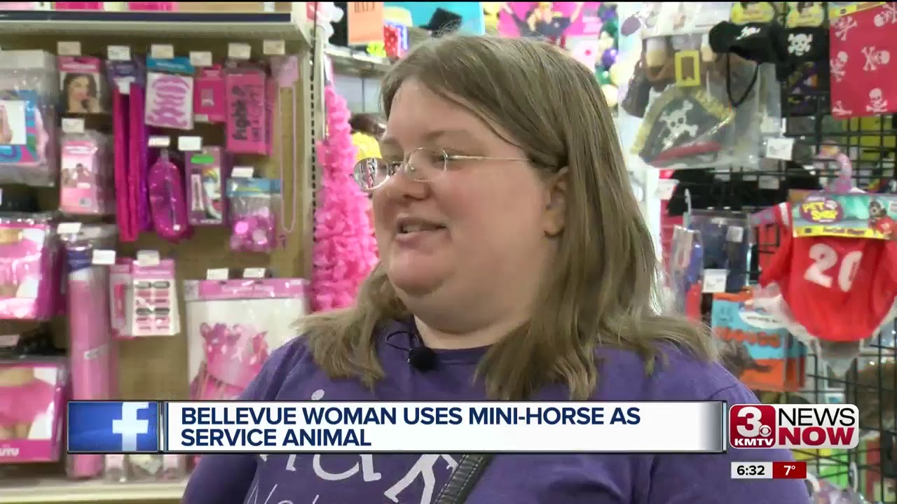 Bellevue woman copes with disability using a mini-horse as service animal