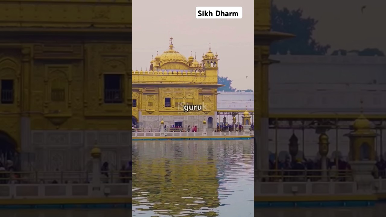 Sikh dharm quick fects|sikh faith explain short #sikh #sikhism #waheguruji #gurbani #ytshorts #fects