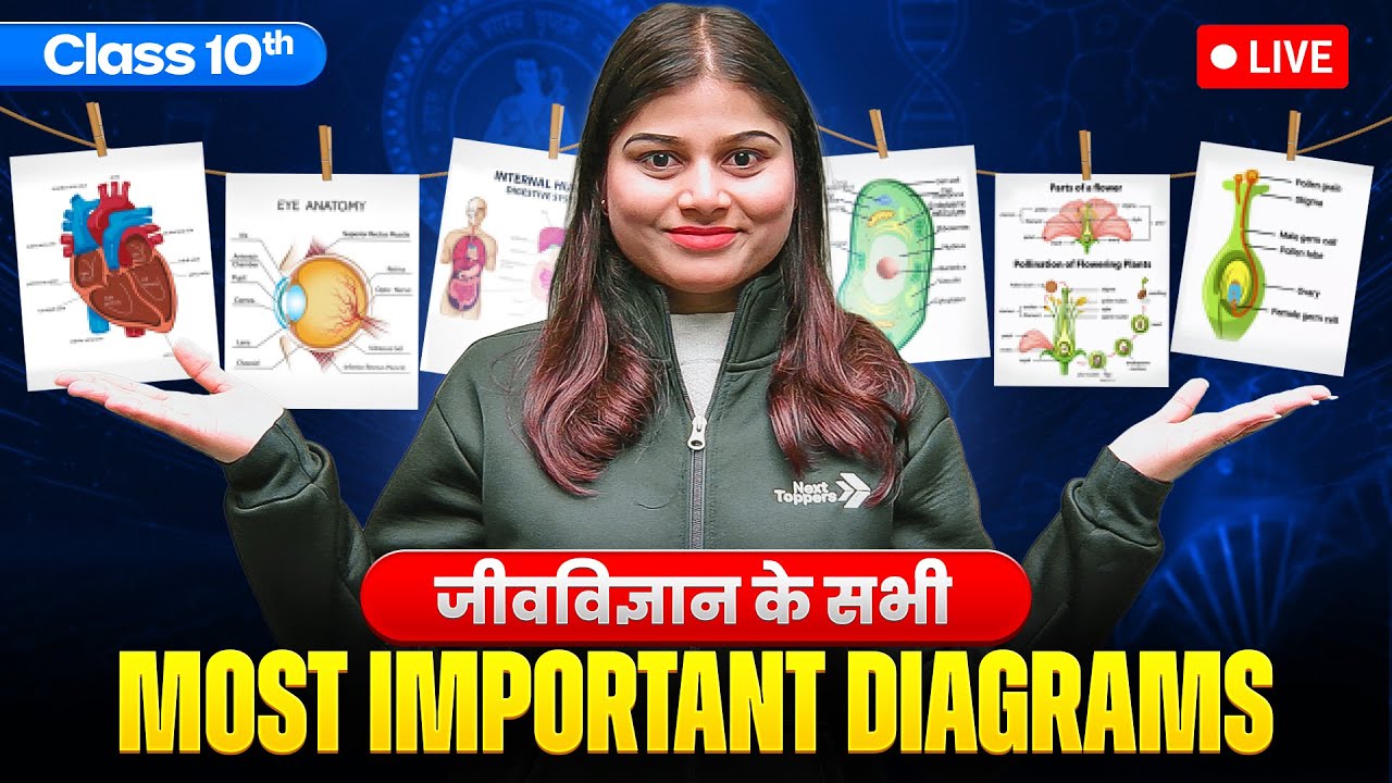 विज्ञान के अति महत्वपूर्ण चित्र (Diagrams) | Class 10th Most Important Diagrams | Board Matric 2026