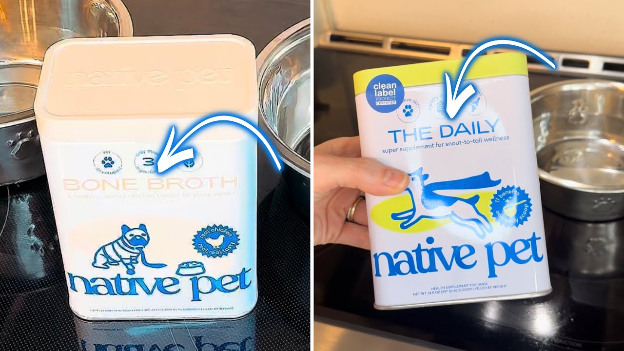 Native Pet Dog Supplement Bundle Review 🐶 Bone Broth + Daily Multivitamin