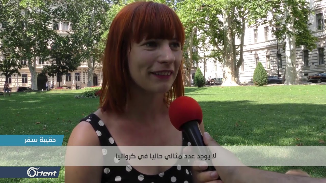 عدد الأطفال المثالي للأسرة من وجهة نظر الأوروبيين - حقيبة سفر | سوريا