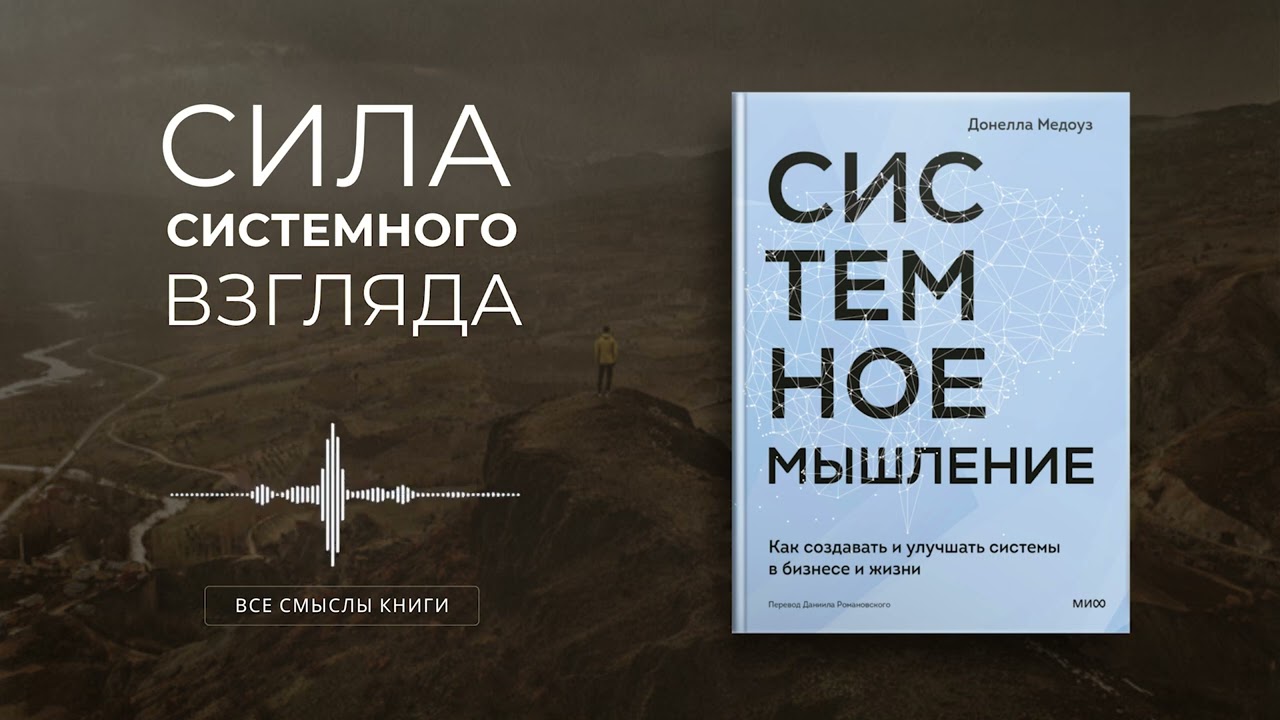 Системное мышление. Донелла Х. Медоуз | Все смыслы книги за 9  минут