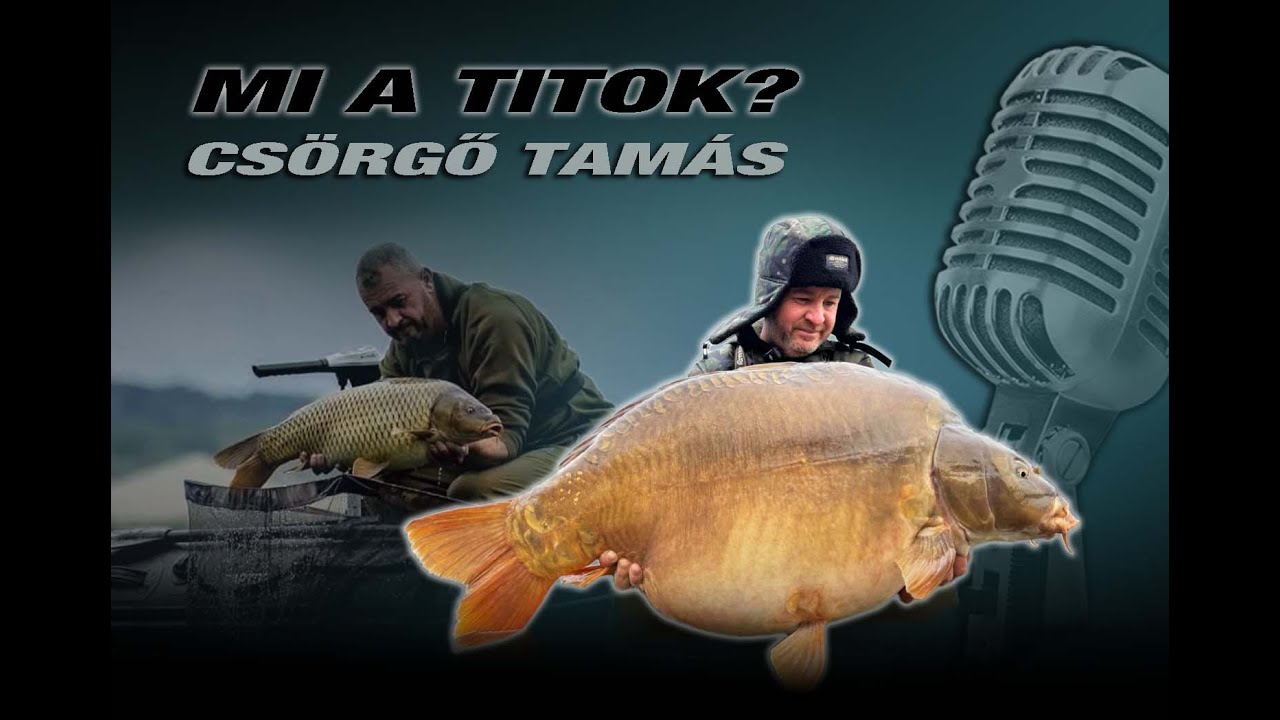 Csörgő Tamás Mi a Titok?