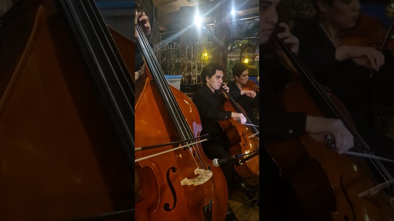 Trio de Cuerdas para  Bodas en Guatemala  #classicalmusic #violin #musicaboda #wedding #musica 
