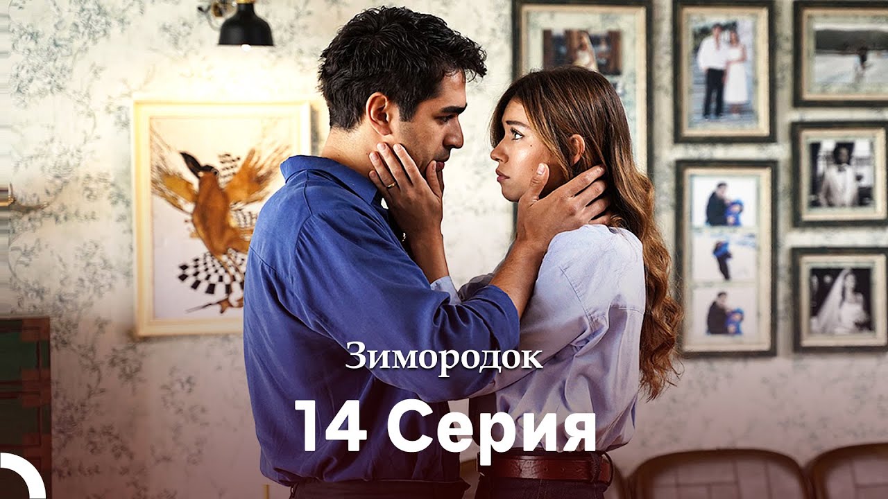 Зимородок 14 Cерия (Русский дубляж)(Длинная Bерсия)