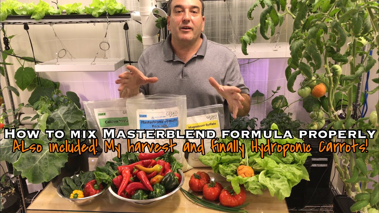 How to Mix Masterblend Nutrients for Hydroponics and Harvesting from my Indoor Garden!