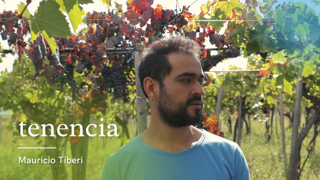 Mauricio Tiberi - Tenencia - Video Oficial