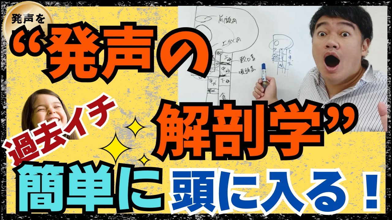 歌手が知っておくべき解剖学を過去イチ、簡略化しました！