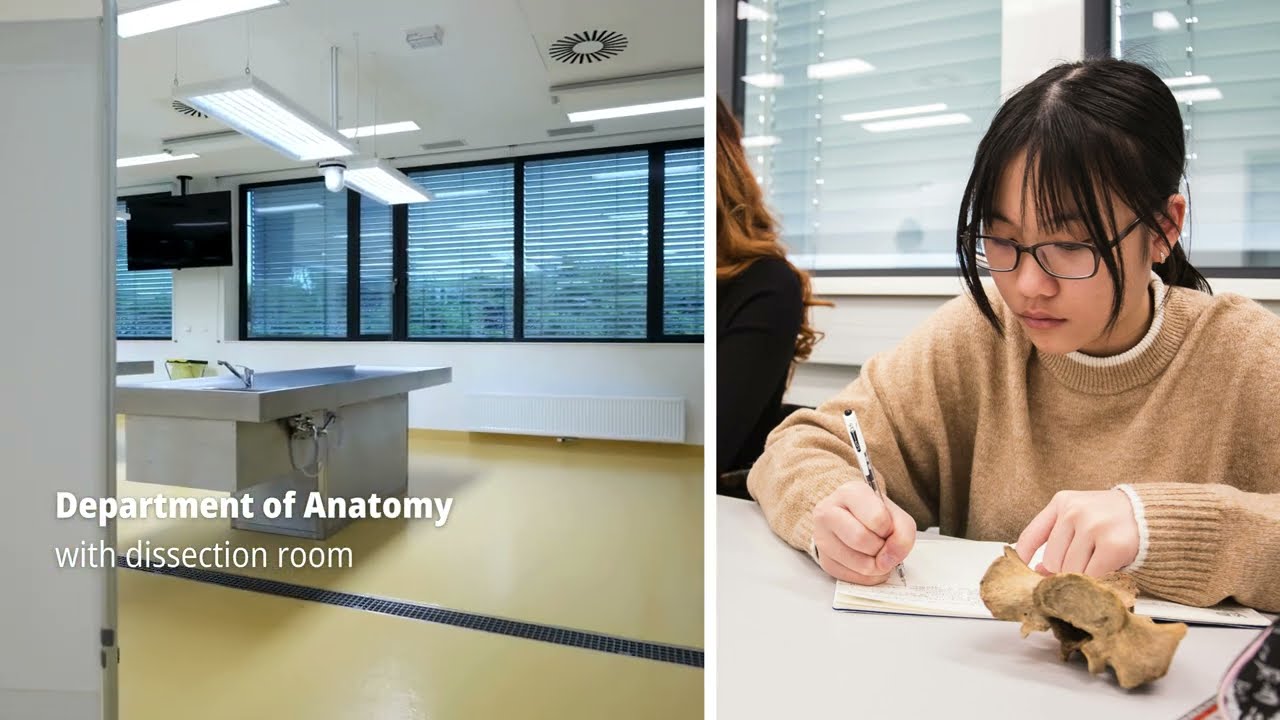 Campus Guide | Faculty of Medicine in Pilsen
