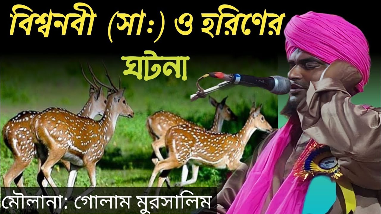 বিশ্ব নবী ও হরিণের ঘটনা। baishnabi o horiner owaz । New Owaz