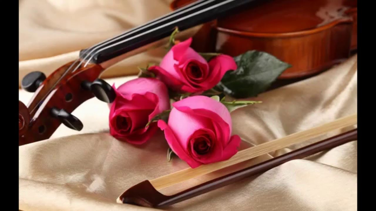 ILAM MANJIN..Violin cover