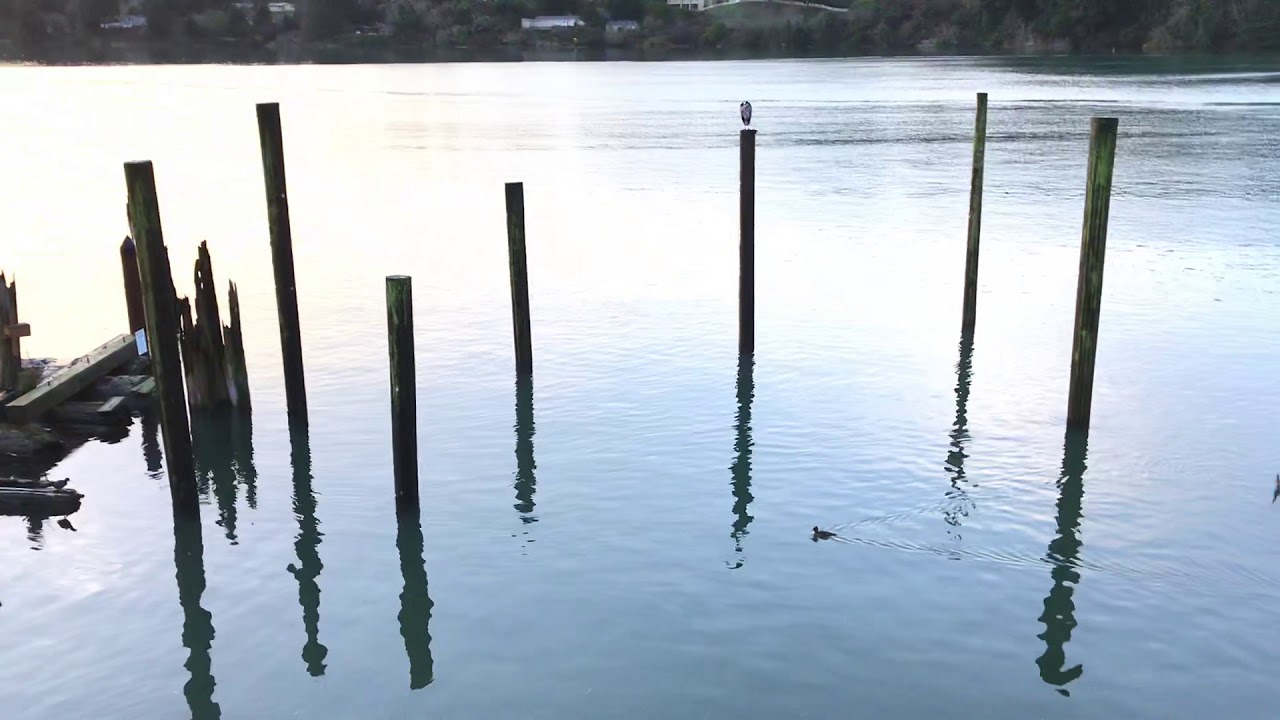 Good Morning Florence!