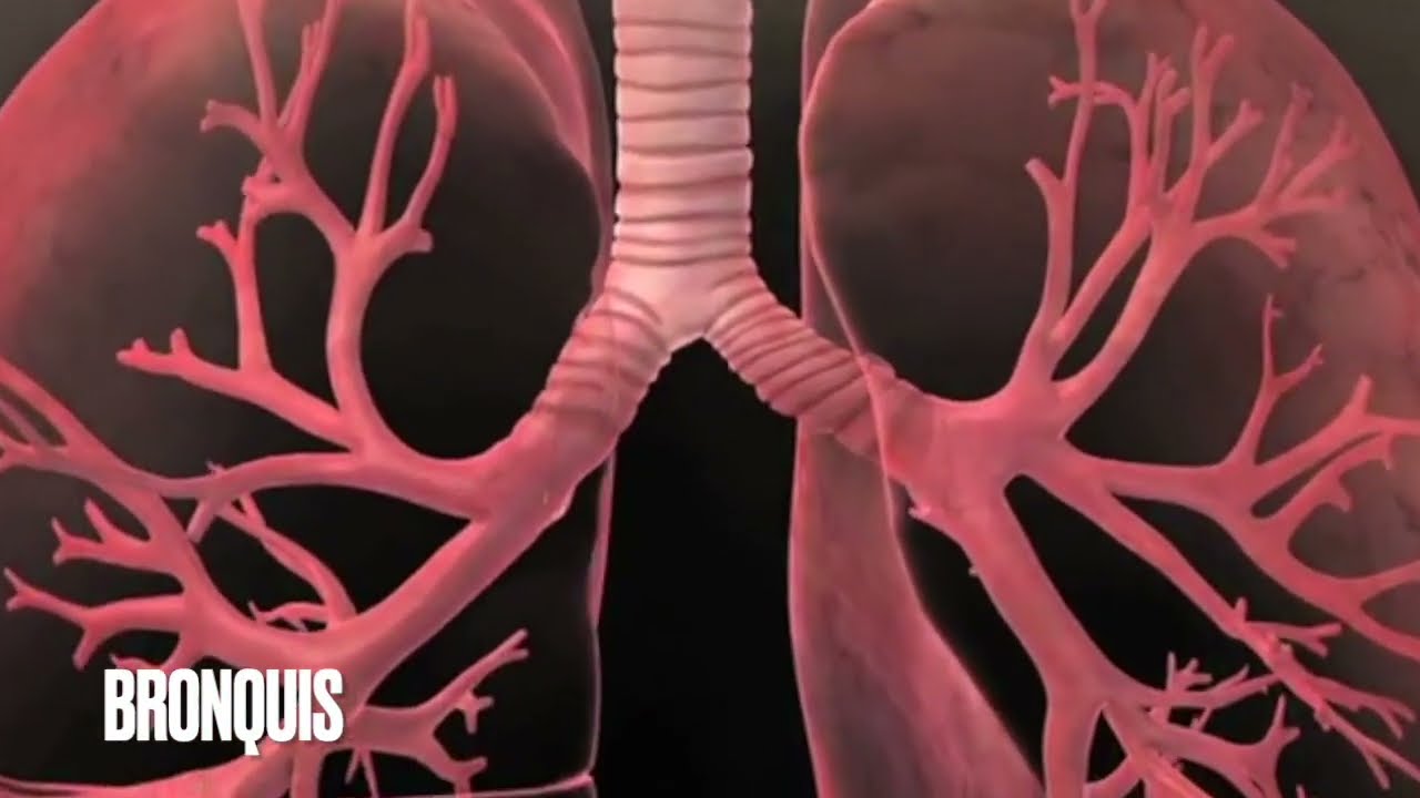 COM FUNCIONA L'APARELL RESPIRATORI?