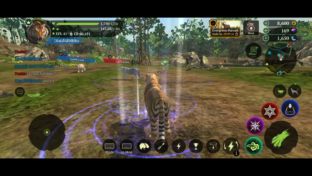 The tiger funny pvp in cub acc