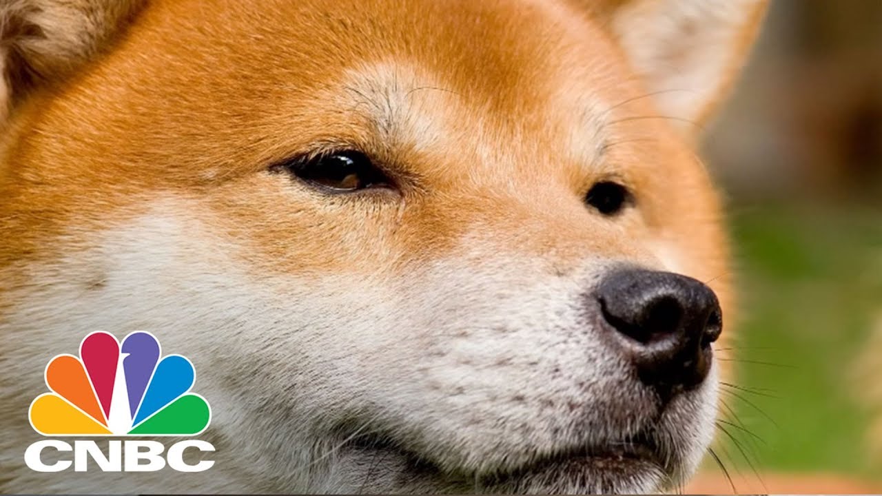 Dogecoin Was Created As A Parody, Now It's Worth More Than $1 Billion | CNBC