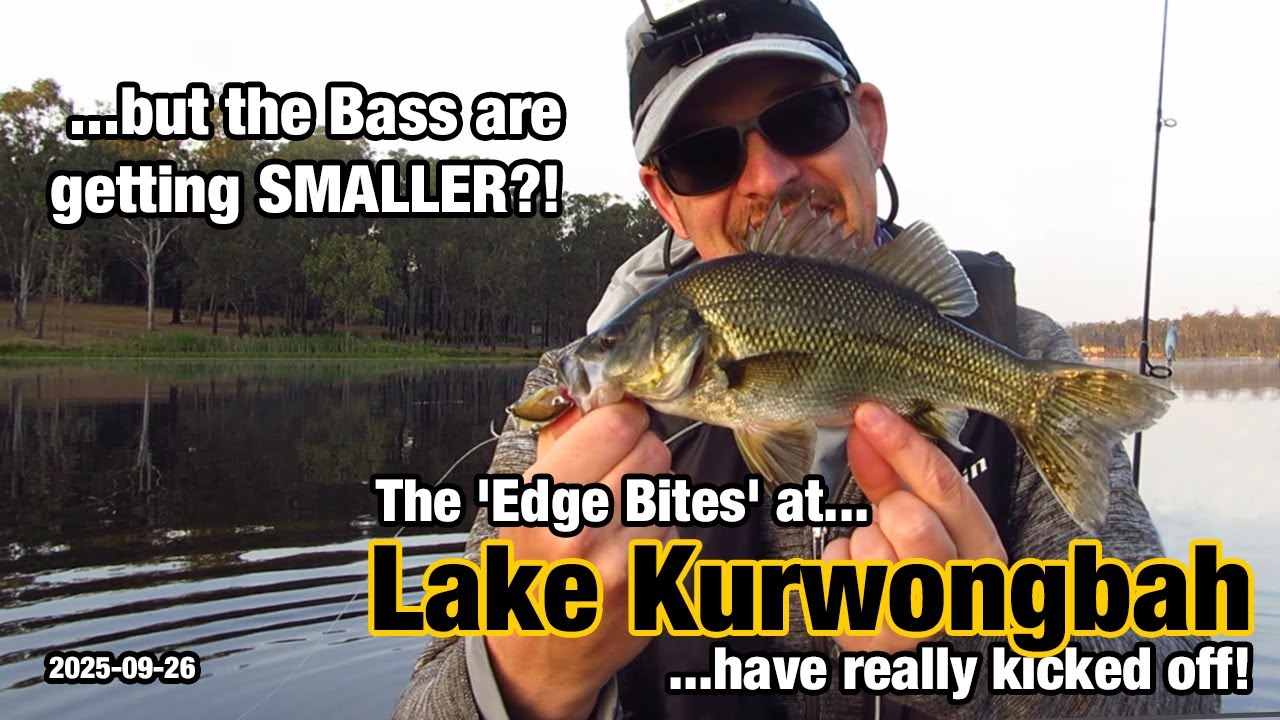 The 'Edge Bites' at Kurwongbah have really kicked off, but the Bass are getting SMALLER?!