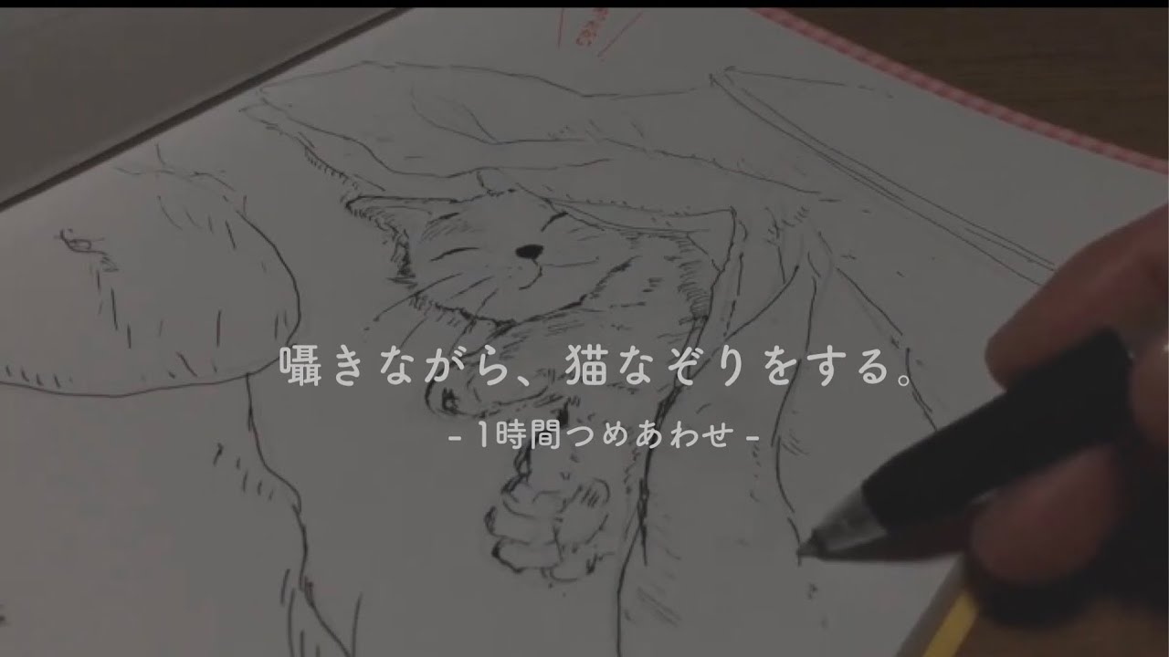 ［囁き声/ASMR］ねこなぞりをしながら雑談を。［1時間つめあわせ]
