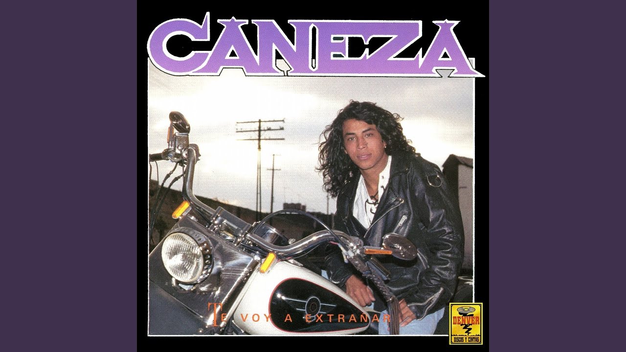 Te Voy a Extrañar