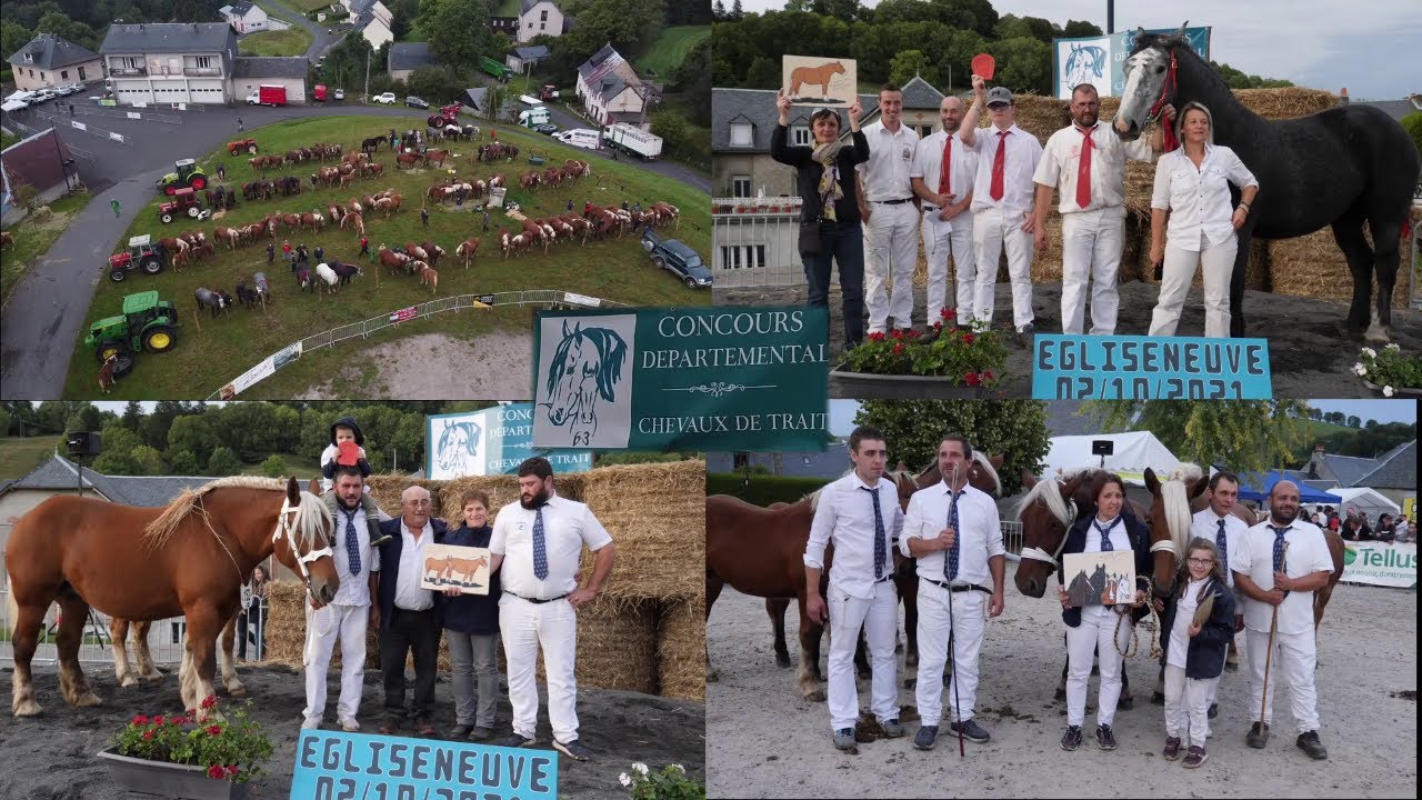 Concours départemental chevaux de trait Puy-de-Dôme à Égliseneuve-d'Entraigues.