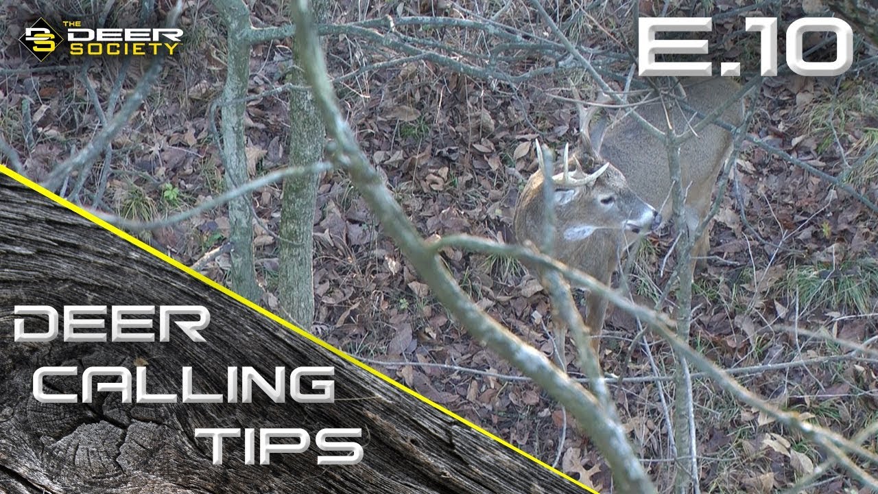 Deer Calling Tips - E.10 