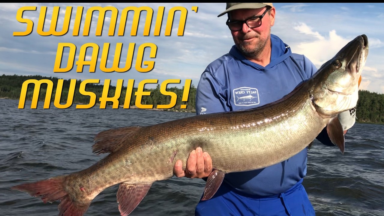 Crushing Ontario Muskies with Swimmin' Dawgs!