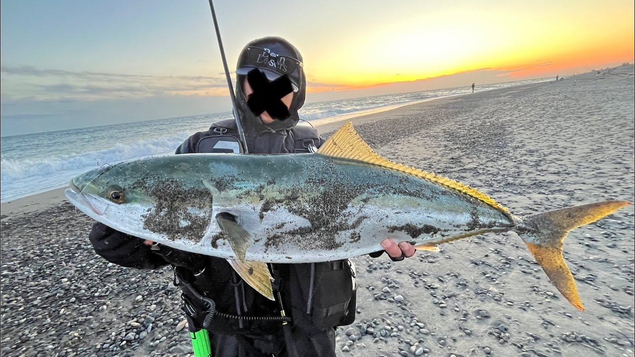 PE1号で寒ブリを釣る【85cm Yellowtail Fishing on the sandy shore】