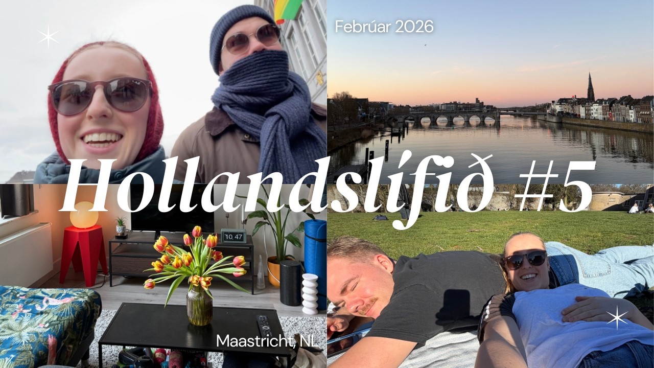 Hollandslífið #5 | Heim til Hollands, Aftur í Rútínu
