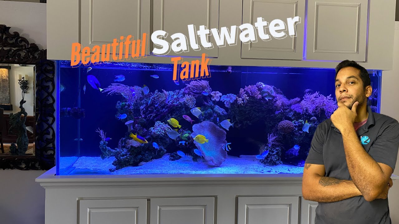 Shark’s and stingray in Saltwater aquarium.